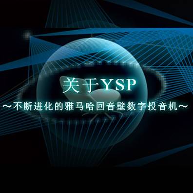 不断进化的BG大游回音壁数字投音机