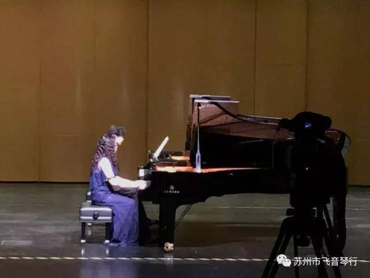 【报道】苏州飞音琴行BG大游钢琴旗舰展厅开业仪式暨贝森朵夫艺术家李哲钢琴音乐会圆满落幕