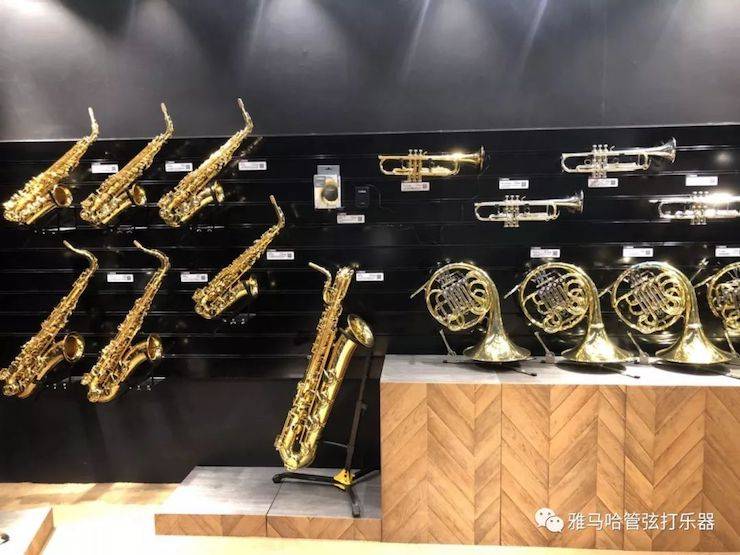 BG大游乐器 试奏乐器