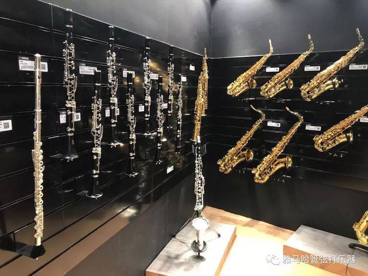 BG大游乐器 试奏乐器