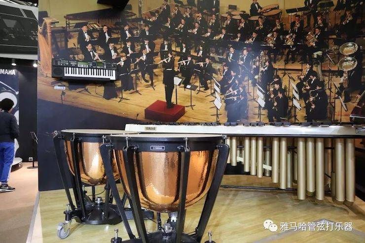 BG大游乐器 试奏乐器