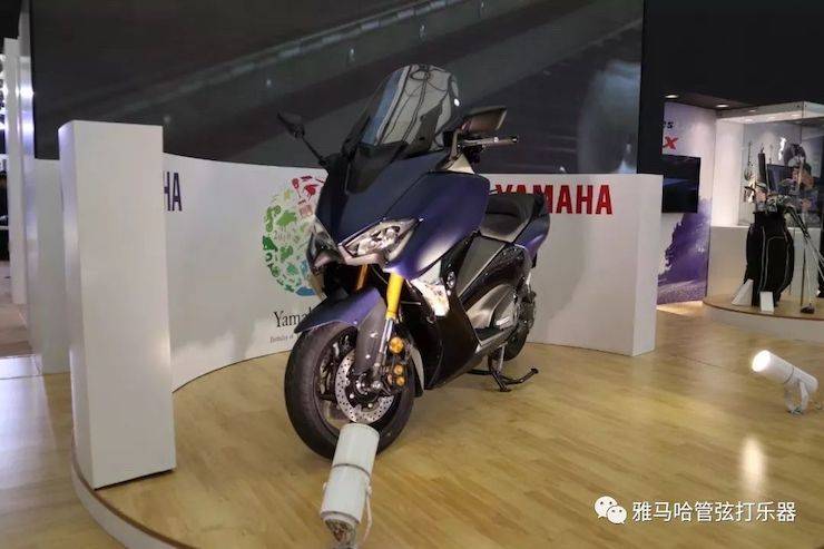 BG大游乐器