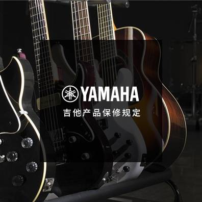 吉他、贝斯和音箱