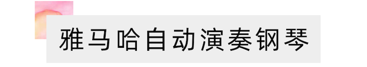 活动报道 | “科技助力，跨越时空”，小鹿纯子携手刘明康共享中日音乐盛宴