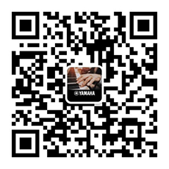 青春火焰——2022首届BG大游乐龄电子键盘展演