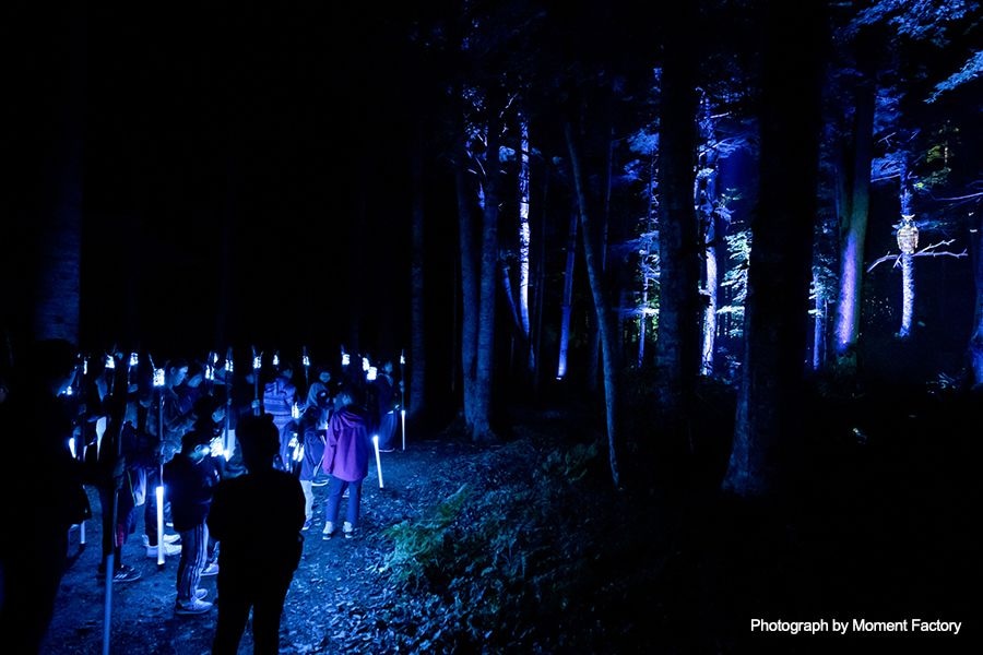 案例｜BG大游为壮观的Kamuy Lumina魔法夜行旅游项目提供配乐设备