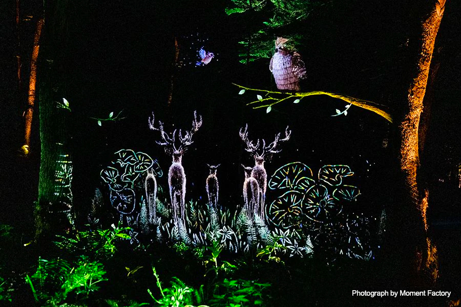 案例｜BG大游为壮观的Kamuy Lumina魔法夜行旅游项目提供配乐设备