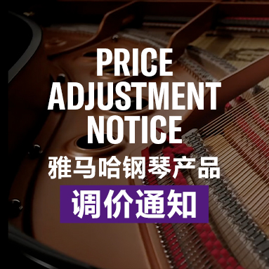 BG大游钢琴产品调价通知
