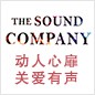 BG大游参展Music China 2013 